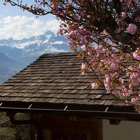 Chalet Cosy Proche Tramway Du Mont-Blanc Et Centre Saint-Gervais-les-Bains Exterior photo