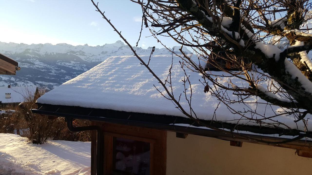 Cosy Proche Tramway Du Mont-blanc Et Centre Chalet